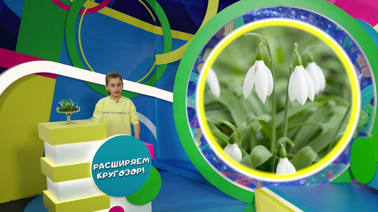 «Навигатор. Новости»: запомнили ли вы интересные факты из рубрики «Расширяем кругозор»?