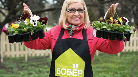 ТЕСТ: Насколько хорошо вы знаете «Дачных фей»?